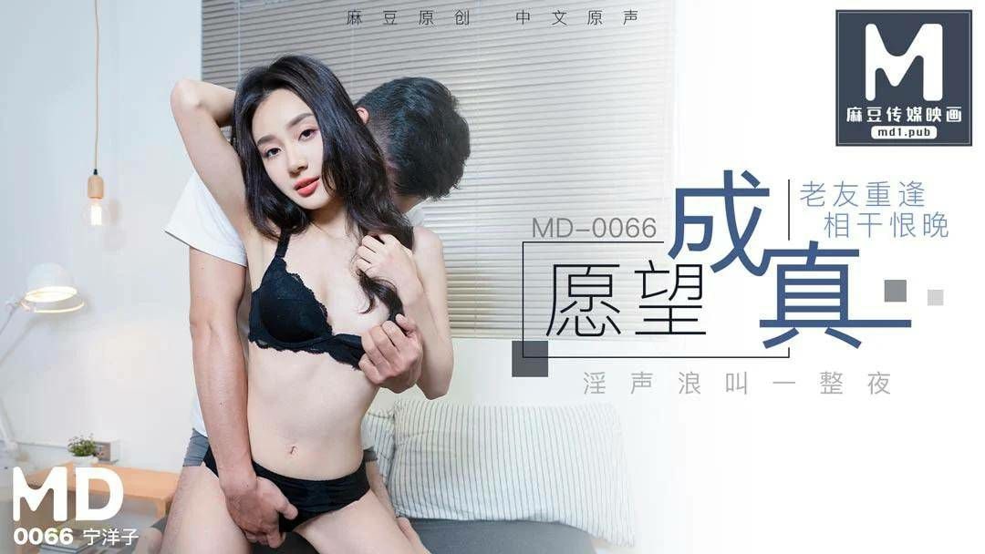 #麻豆映画  MD0066 老友重逢相干恨晚 - 宁洋子